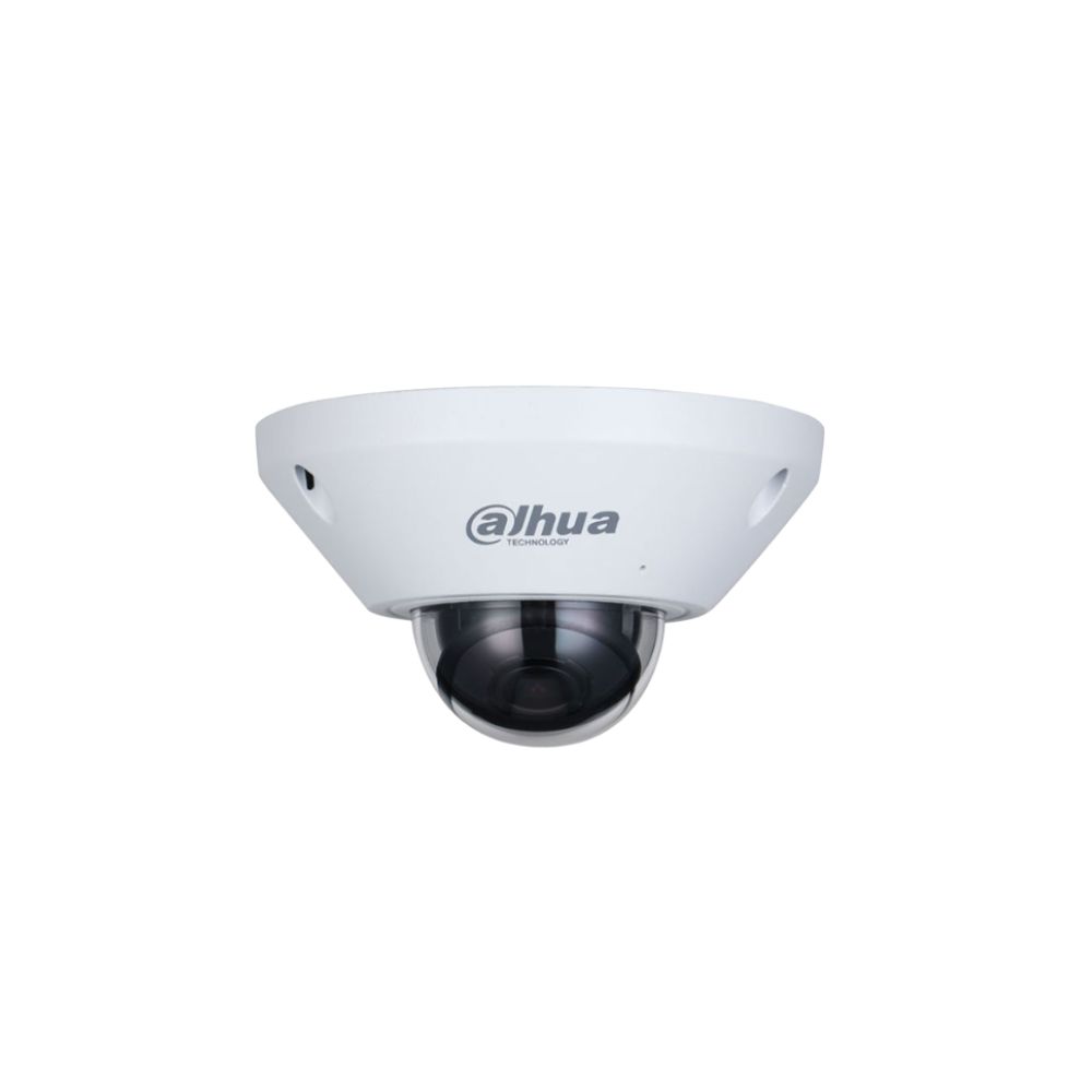 DH-IPC-EB5541P-AS