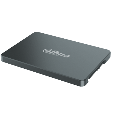 DHI-SSD-V800S256G