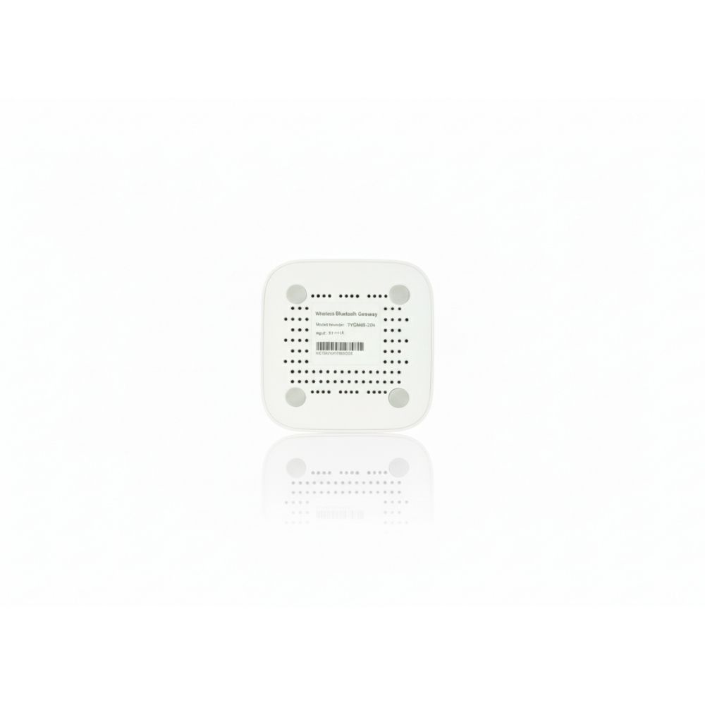 TYGWBS-02N WIRELESS BLUETOOTH GATEWAY