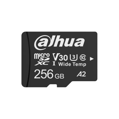 DHI-TF-W100-256GB
