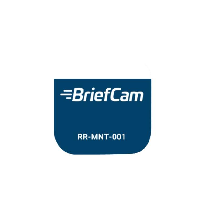 1 YEAR(S) BRIEFCAM RAPID REVIEW - CONCURRENT USERS