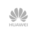 LICENCIA HI-CARE 1AÑO (S6750-H36C)